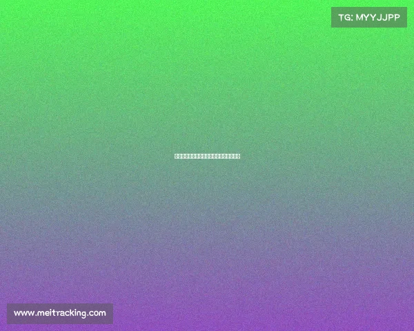 纽卡斯尔联高度关注佳夫表现尚未提出报价