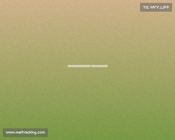 谢什科为加盟曼联放弃纽卡更高薪水 展现对红魔的执着与渴望