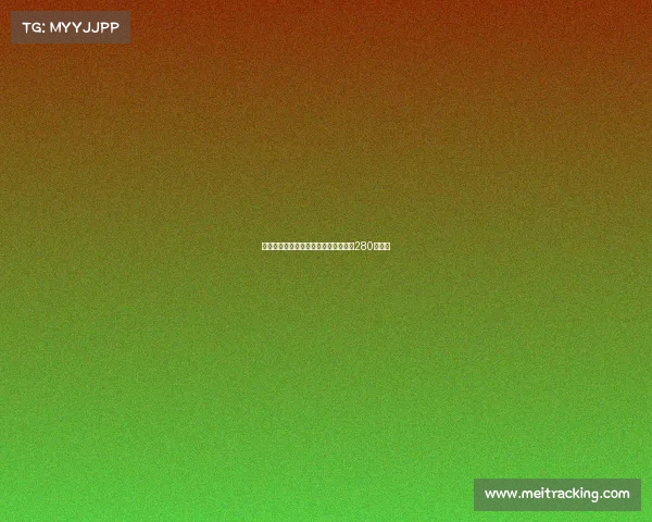 格兰德曝曾向拜仁推荐哈兰德当时仅需280万欧元