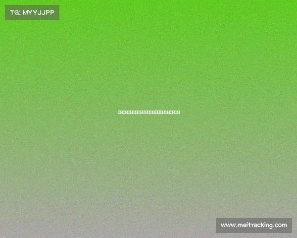 罗马诺透露谢什科经纪人已到莱比锡正努力促成曼联交易