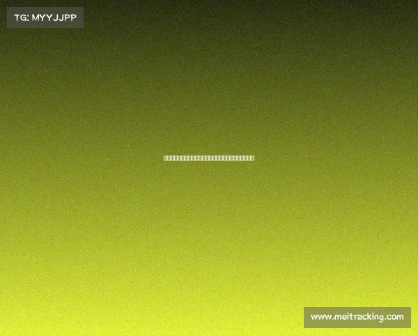 费迪南德：曼联需再引进一至两名球员才能有信心冲击前八