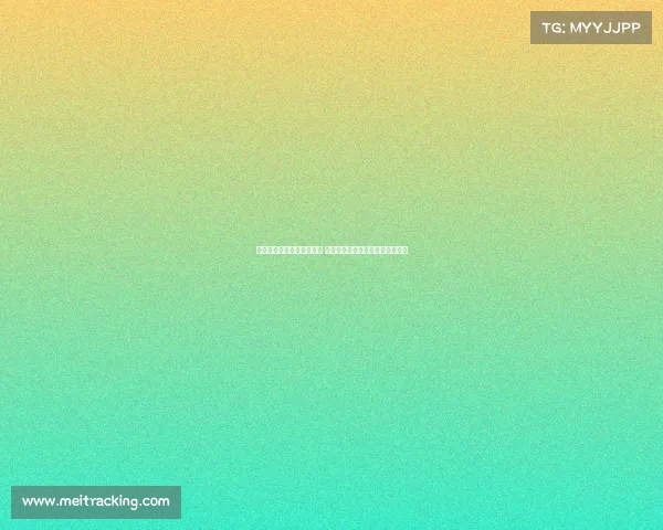 伯明翰英冠揭幕战爆发冲突 前曼联球星阿什利扬卷入场上混战