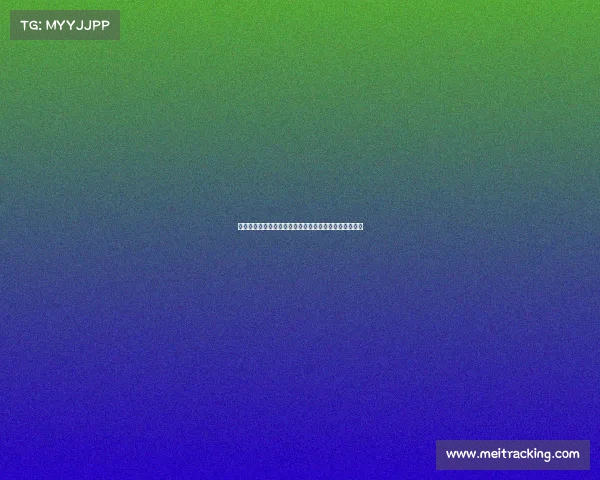 罗马诺透露谢什科经纪人已到莱比锡正努力促成曼联交易