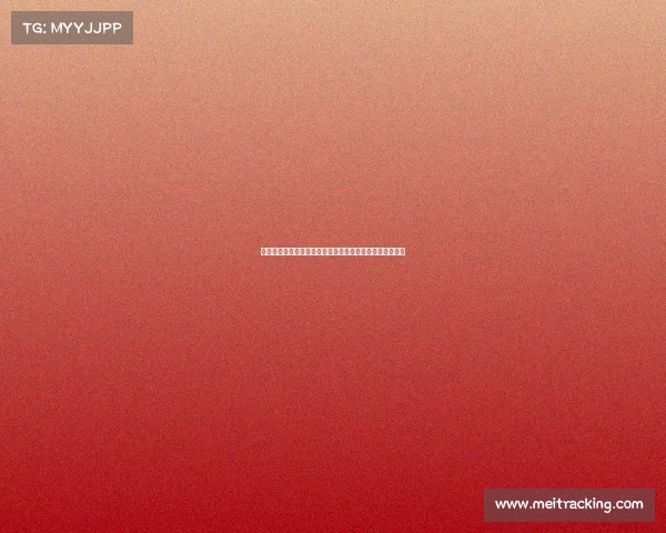 费迪南德：曼联需再引进一至两名球员才能有信心冲击前八