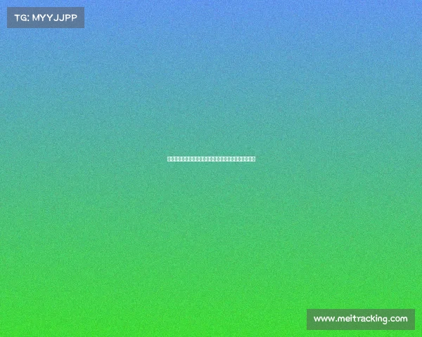 罗马诺透露谢什科经纪人已到莱比锡正努力促成曼联交易