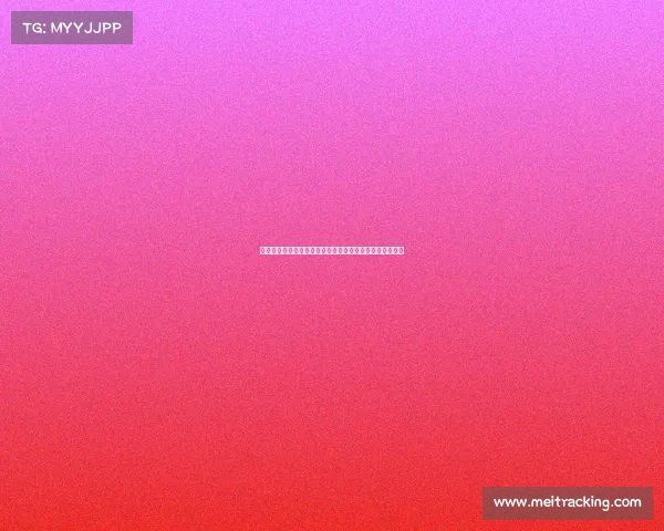 费迪南德：曼联需再引进一至两名球员才能有信心冲击前八