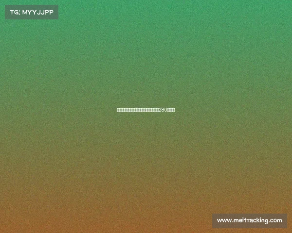 格兰德曝曾向拜仁推荐哈兰德当时仅需280万欧元