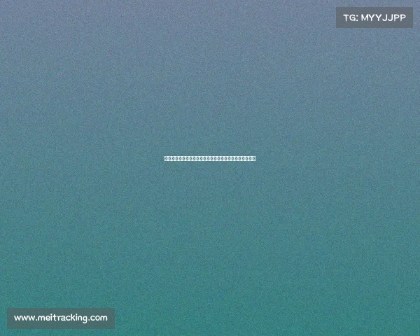 费迪南德：曼联需再引进一至两名球员才能有信心冲击前八