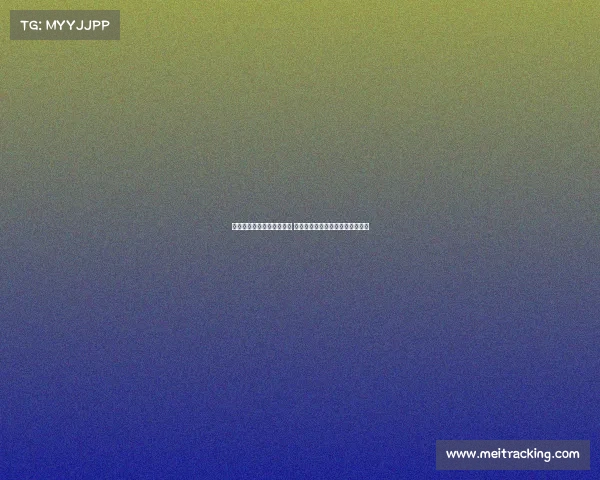 伯明翰英冠揭幕战爆发冲突 前曼联球星阿什利扬卷入场上混战