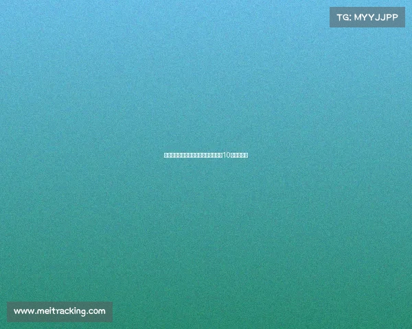 查尔顿青训小将奥杜瓦莱不幸去世年仅10岁令人悲痛