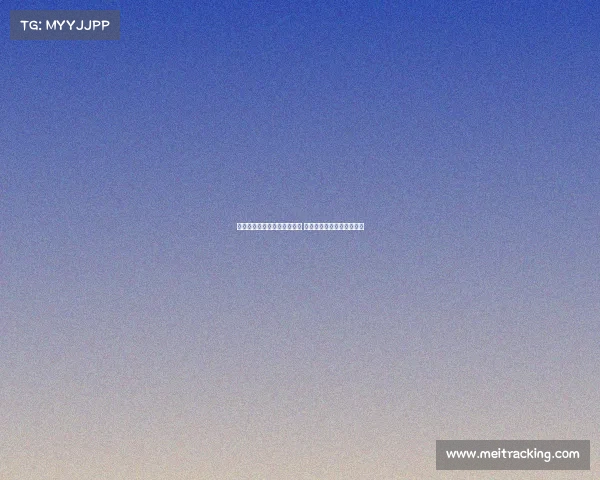 皇马利用世俱杯奖金加码引援 深入探索转会市场潜力球员