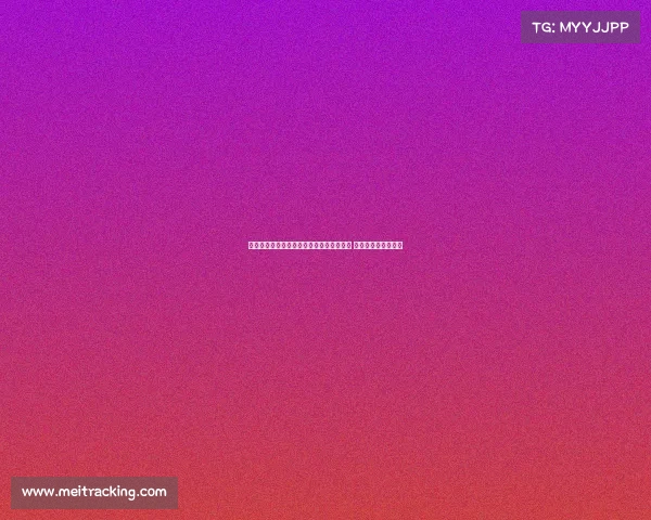 费迪南德：曼联能从多古身上发掘更多潜力 他有着埃弗拉的影子