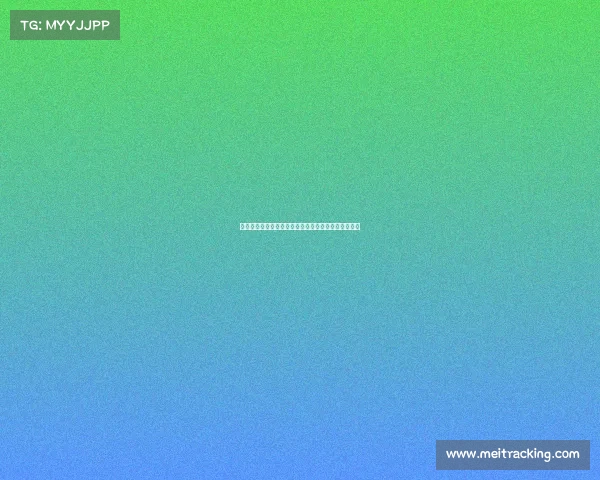 英超球星风云录：从明星前锋到顶级门将的崛起与传奇