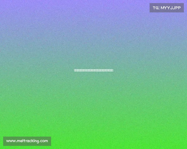 西甲球队战术分析：从进攻流畅到防守坚固的多维度解读