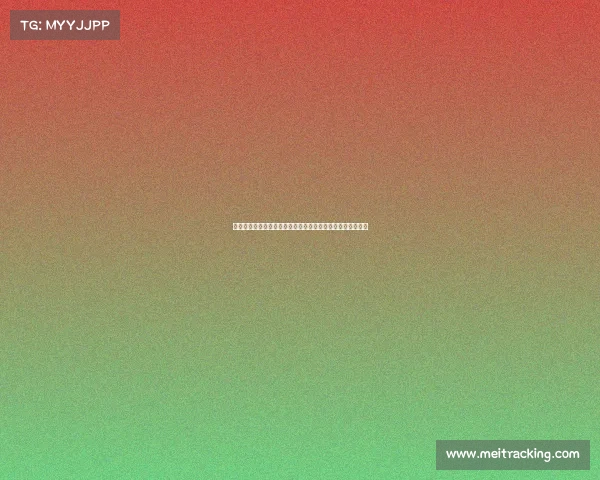 英超球场音乐的魅力与氛围对比赛氛围及球迷情感的影响分析