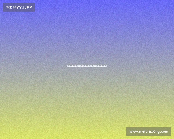 法甲裁判标准解析与实践对比：提升比赛公正性与技术应用探讨