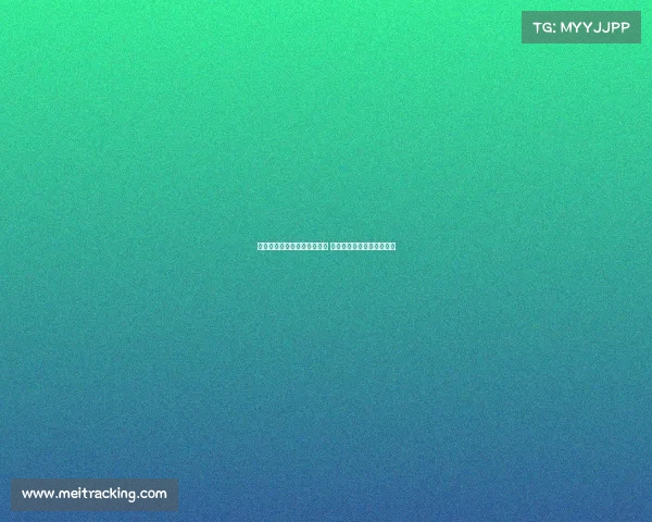 马赛有意引进国米后卫帕瓦尔 球员本人表示愿意考虑转会