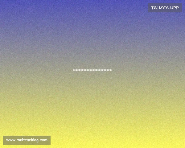 塞尔：维尼修斯续约陷僵局欲与姆巴佩薪水持平谈判困难