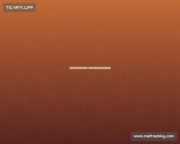 伯明翰英冠揭幕战爆发冲突 前曼联球星阿什利扬卷入场上混战