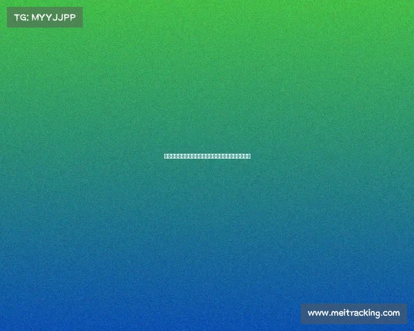 罗马诺透露谢什科经纪人已到莱比锡正努力促成曼联交易