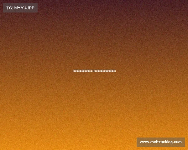 阿尔特塔引领阿森纳崛起之路 战术革新与球队重建的双重挑战