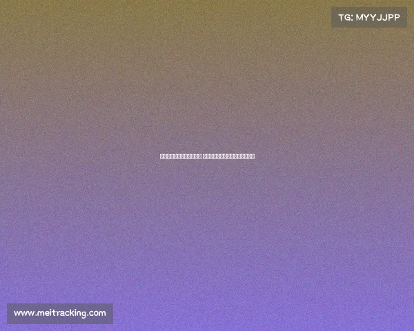 伯明翰英冠揭幕战爆发冲突 前曼联球星阿什利扬卷入场上混战