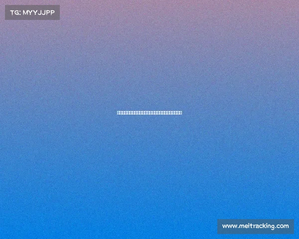 费迪南德：曼联需再引进一至两名球员才能有信心冲击前八